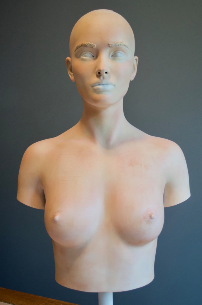 scale_mail_bust_221