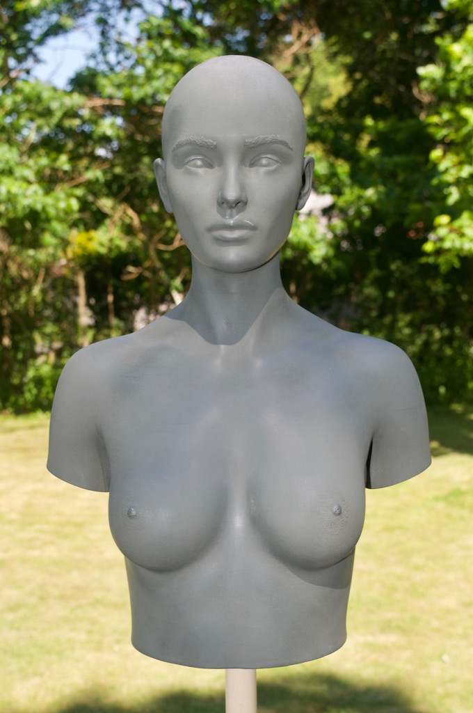 scale_mail_bust_84